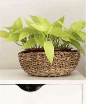 CST BACIA DUUK NATURAL D41 A14 IMP