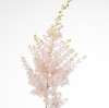 Astilbe japonica 'Whasingthon'