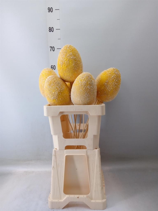 <h4>Decoratieve materialen   ...H%</h4>