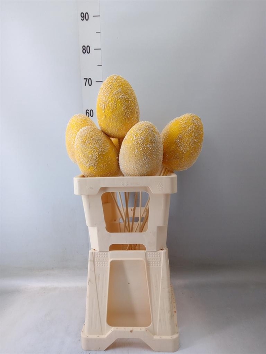 <h4>Decoratieve materialen   ...H%</h4>