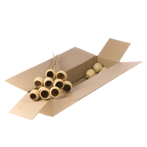 Bell Cup O/s 10pc Sb Natural