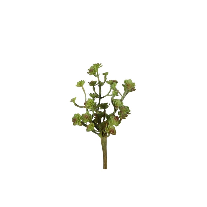 <h4>Artificial plants Cactus 21cm</h4>