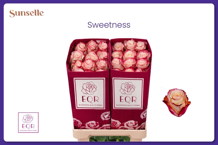 <h4>R GR SWEETNESS</h4>