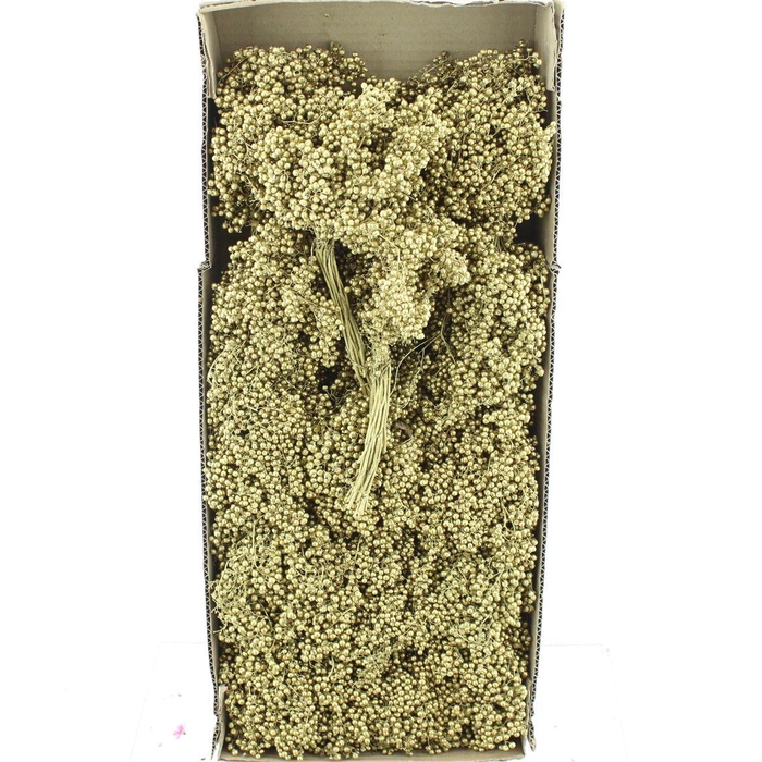 <h4>Dried Pepper Berries Light Gold</h4>
