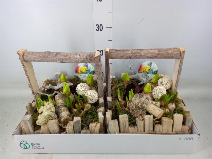 <h4>Arr.   Bol/Knolgewas L%</h4>