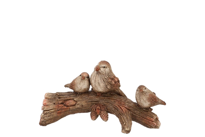 <h4>Wonderland Scottish Brown Birds Ass 13x8x22cm</h4>