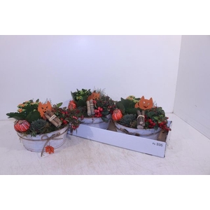 ARR GARDEN ZINC WHITE X2