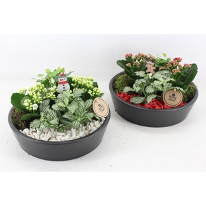 arr2 PL - Ker. schaal zwart 25cm - rood/wit