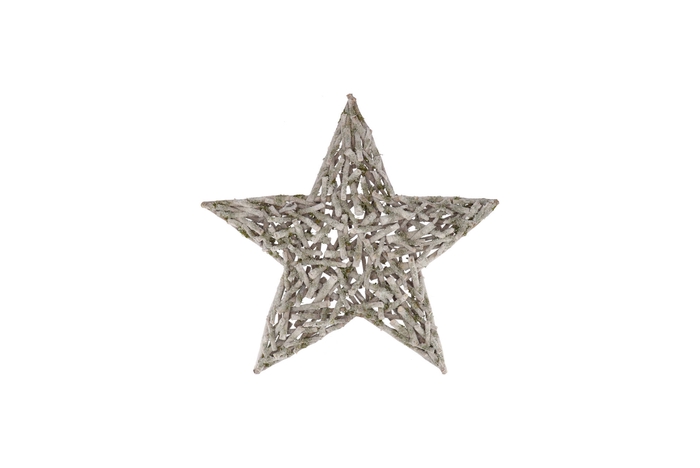 Festive Star Poplar Moss With Snow 40x40x7cm