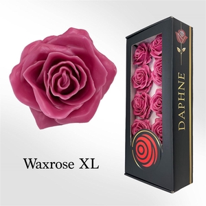 Wax Rose Xl Cerise