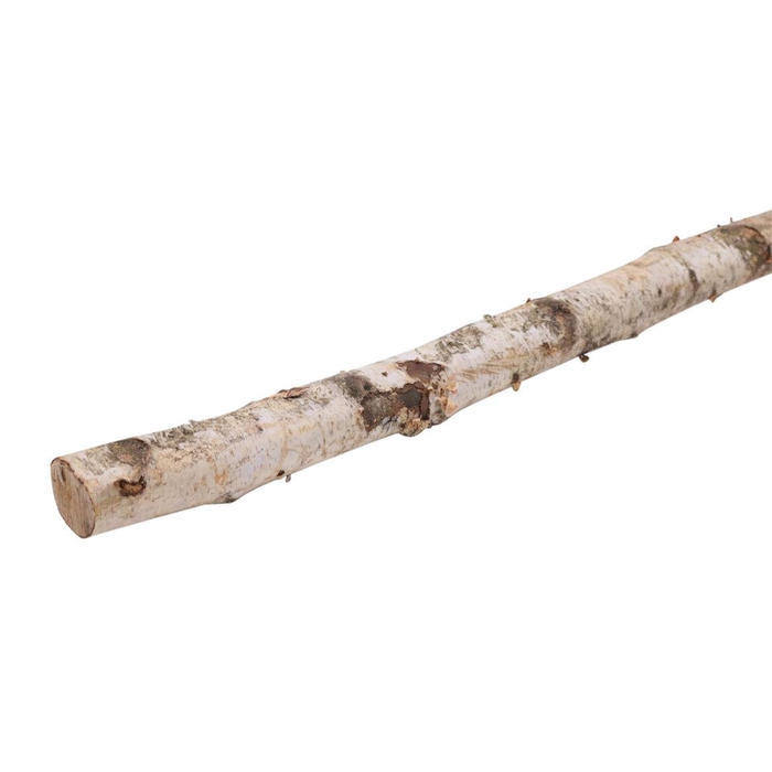 <h4>Branch Birch L150 D4/6</h4>