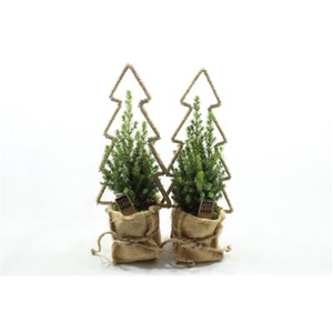 24431 JUTE KERSTBOOM FRAME