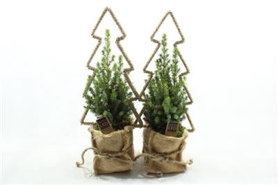 <h4>24431 JUTE KERSTBOOM FRAME</h4>