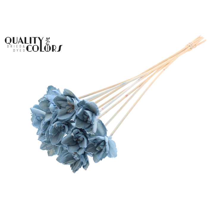 <h4>Shola Queen Flower on stem Light Blue</h4>
