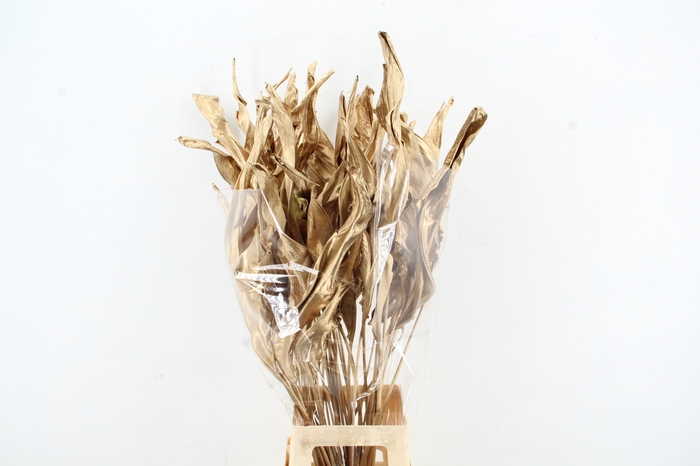 <h4>DF Strelitzia Leaf Antiq. Gold</h4>