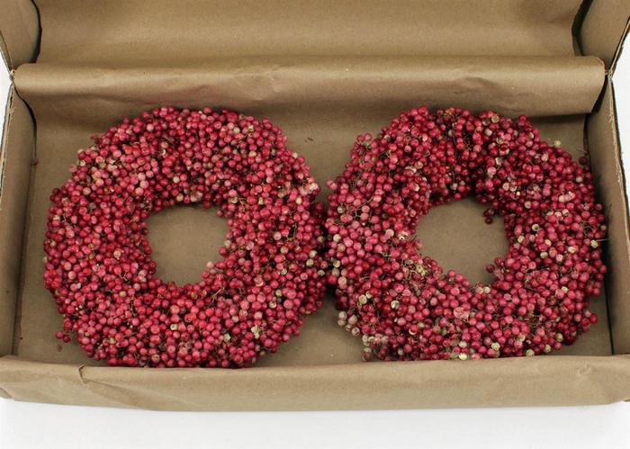 <h4>Wr Schinus 20cm X2</h4>