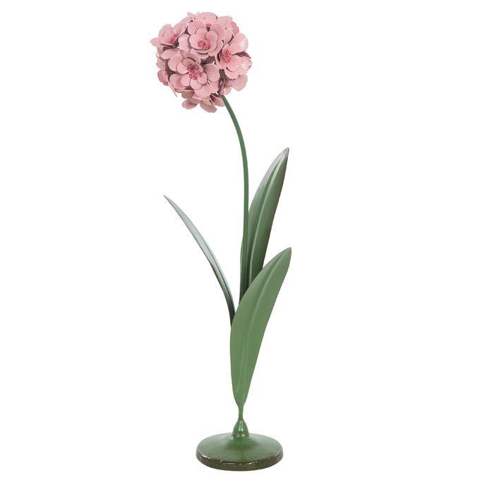 <h4>IJzer   ...H%</h4>