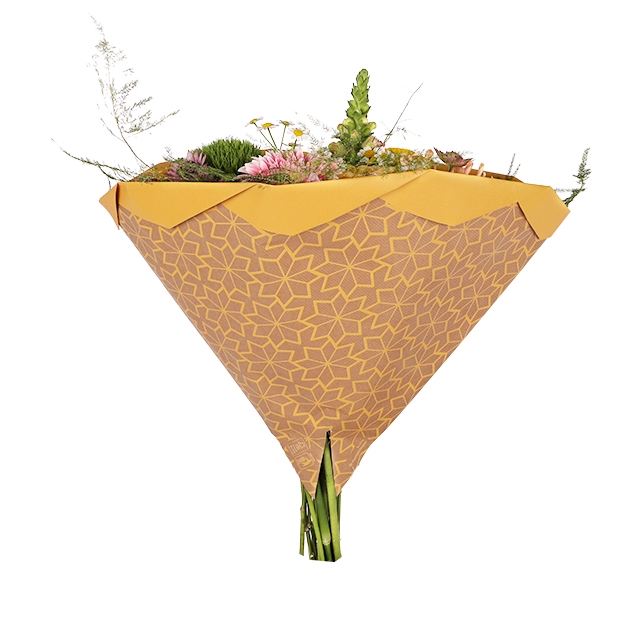 <h4>Hoes 35x35cm Foldio 50gr Recycled kraft Bluma oranje 250/ds</h4>