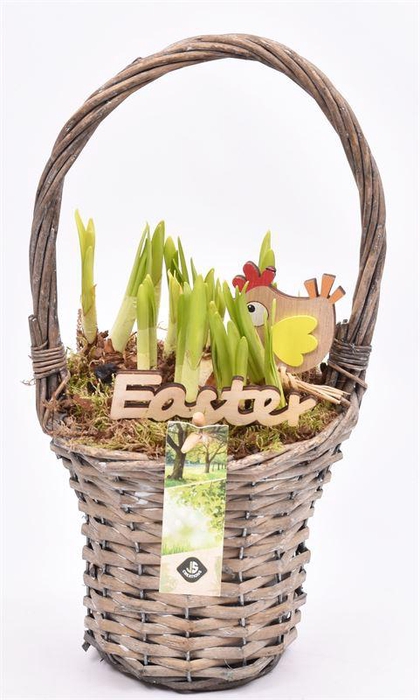 <h4>Wilg hengselmand gy 17cm</h4>