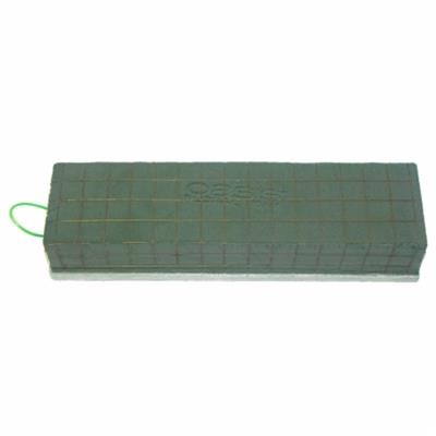<h4>OASIS 11-00403 RAQUETTE ECO 60X11 P.DS</h4>