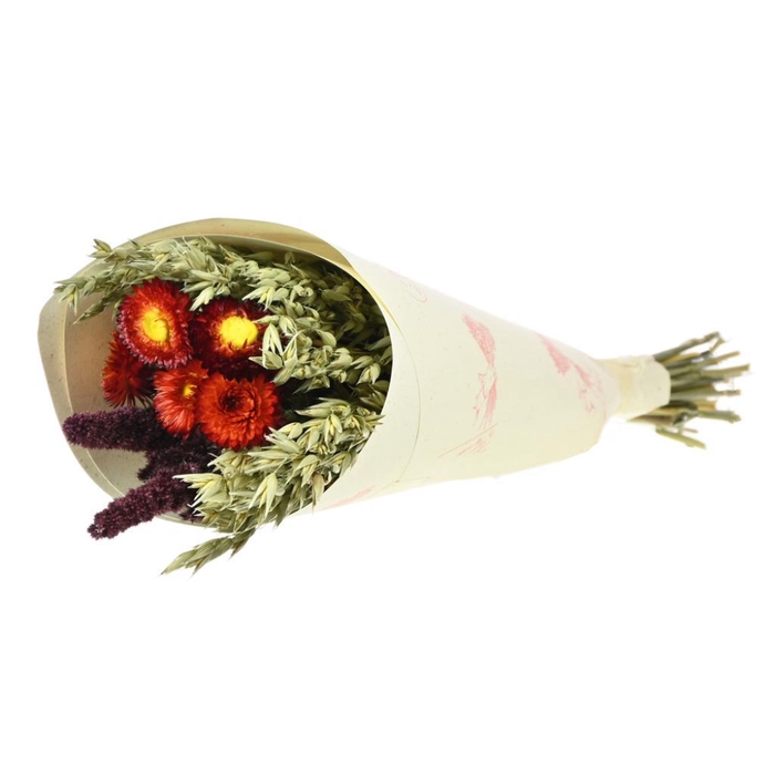 <h4>Mix Bunch Twilight Natural</h4>