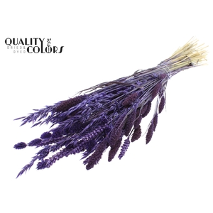 Dried Flower mix bunch Purple
