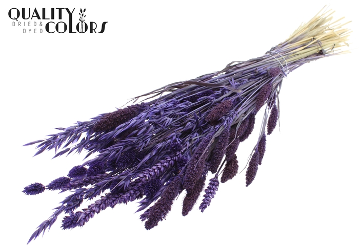 <h4>Dried Flower mix bunch Purple</h4>