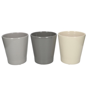 Promo Phal.pot d13*14cm