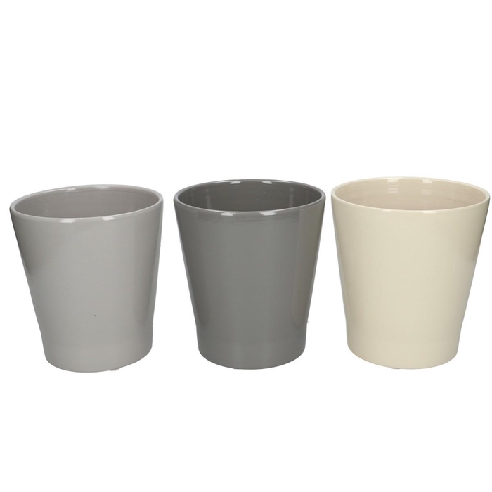 <h4>Promo Phal.pot d13*14cm</h4>