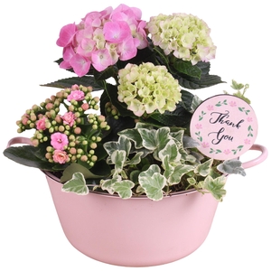 Mothersday Arr. Outdoor Zinc Bowl With Handles Pink Ø26cm 3PP