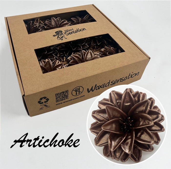 <h4>Zijde Artisjok Zijde Wx Bruin</h4>