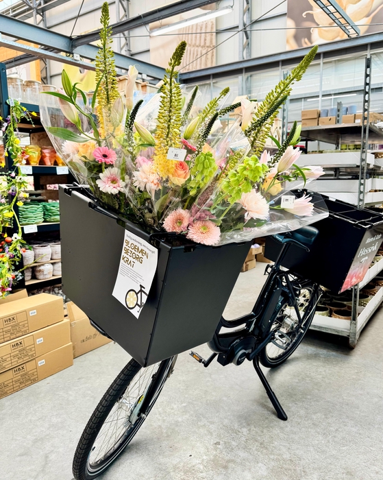 <h4>BLOEMENBEZORGKRAT</h4>