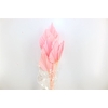 Dried Palm Spear 10pc Light Pink Bunch