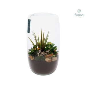 Green Bottle Isabella XXLarge Love met arrangement