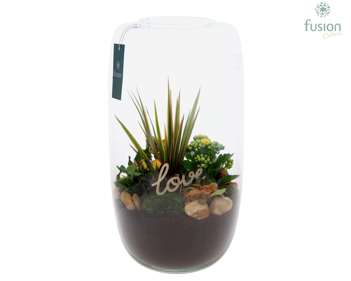 <h4>Green Bottle Isabella XXLarge Love met arrangement</h4>