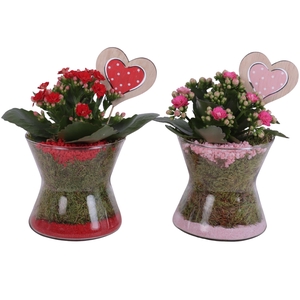 Valentine Arr. Indoor Glass Hourglass Ø13cm 1PP