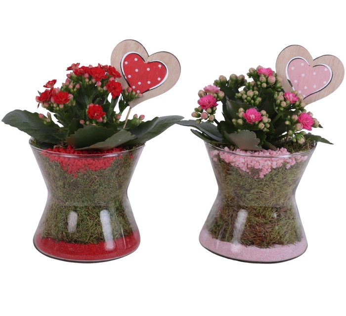 <h4>Valentine Arr. Indoor Glass Hourglass Ø13cm 1PP</h4>