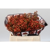 Rozenbottel Autumn Rosefruits