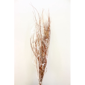 Dried Tamerice Natural Bunch Poly