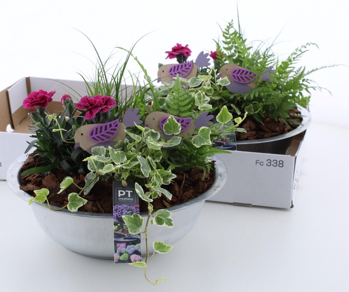 <h4>ARR GARDEN ZINC X2</h4>