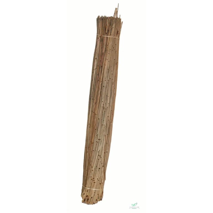 <h4>VLEIREED 75CM NATURAL 1KG</h4>