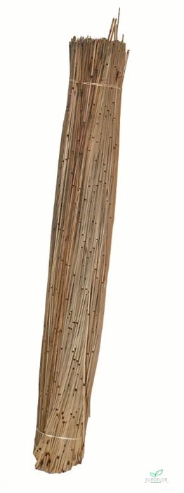 VLEIREED 75CM NATURAL 1KG