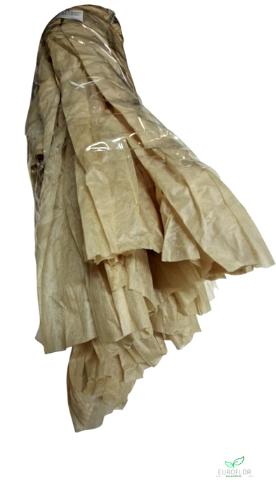 NON WOVEN SHEETS 50CMX1,5M HAZELNUT 5PCS