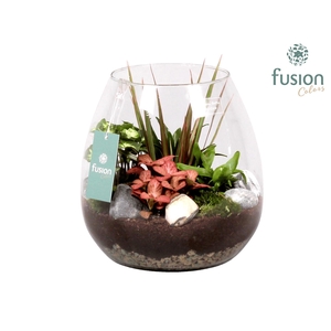 Green Bottle Abby Large met Groen Planten