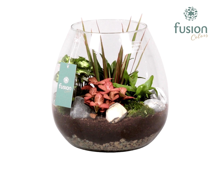 <h4>Green Bottle Abby Large met Groen Planten</h4>