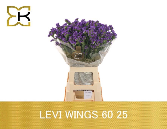 LIM S LEVIS WINGS