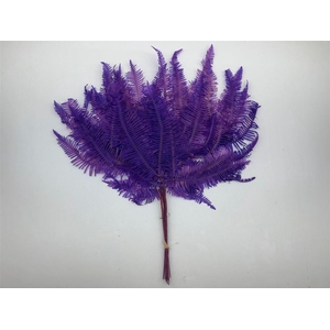 Pres Bracken Fern Lavender 10pcs Bunch