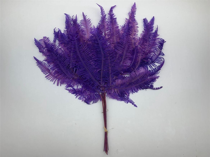 <h4>Pres Bracken Fern Lavender 10pcs Bunch</h4>