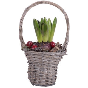 Winter Arr. Hyacint Willow Handle Basket Grey Ø15cm 3PP