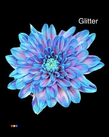 Chr T 2 Kl Baltica Bubblegum + Glit Bio